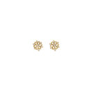 Earring_01_FF