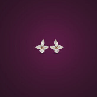 Fancy Diamonds Studs